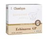 Echinacea GP